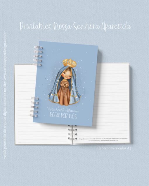 Coleção Encadernação Nossa Senhora Aparecida 5 - Image 9