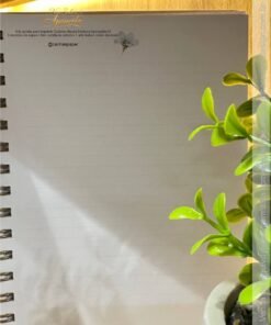 PDF caderno NS Aparecida 7 + capas + miolo decorado + bolso + cartela adesivo - Imagem 4