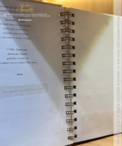 PDF caderno NS Aparecida 7 + capas + miolo decorado + bolso + cartela adesivo - Imagem 9